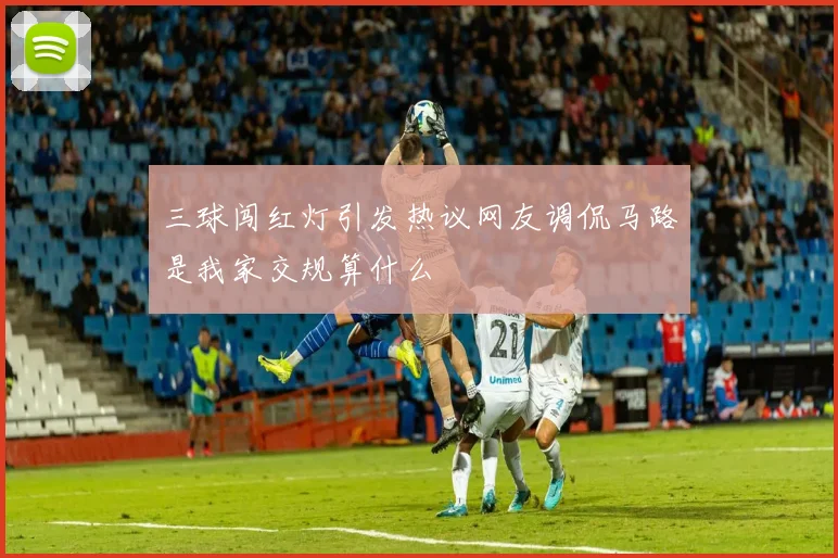 三球闯红灯引发热议网友调侃马路是我家交规算什么